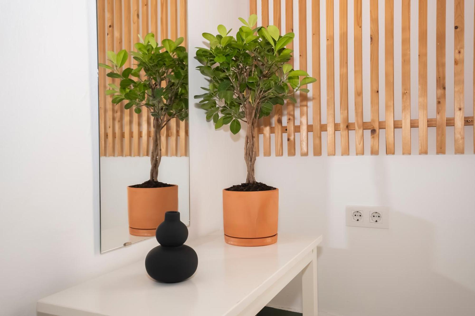 California Apartament Dos De Mayo Sevilla Kültér fotó